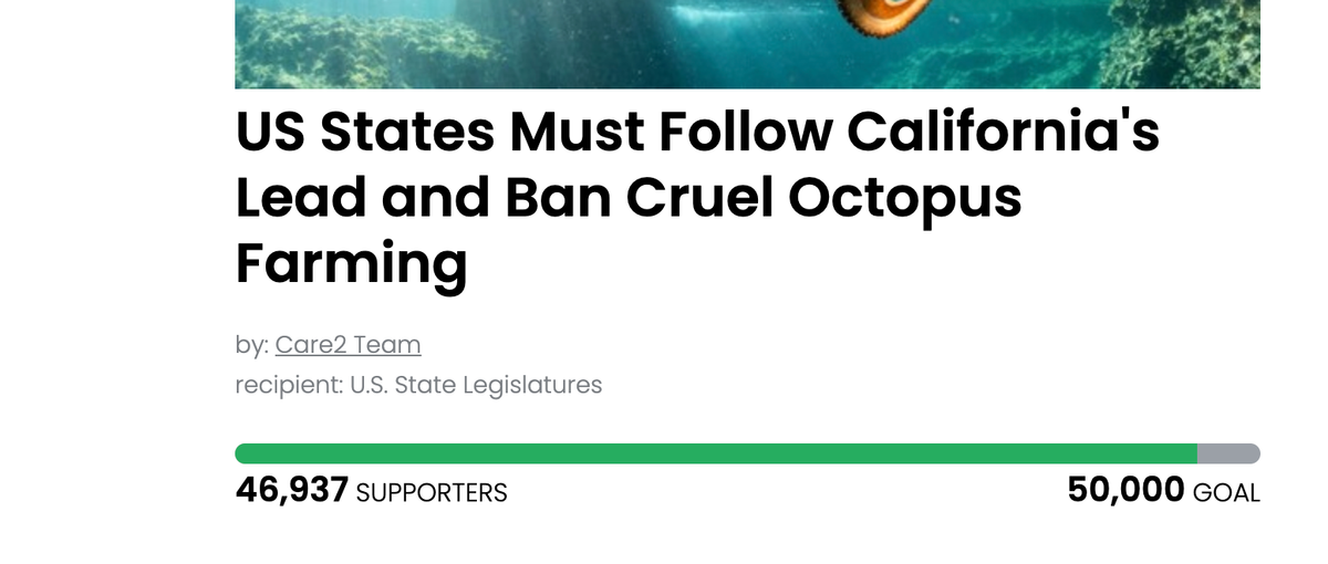 Animal Actions - Sign to Demand Other US States Ban Cruel Octopus Farming