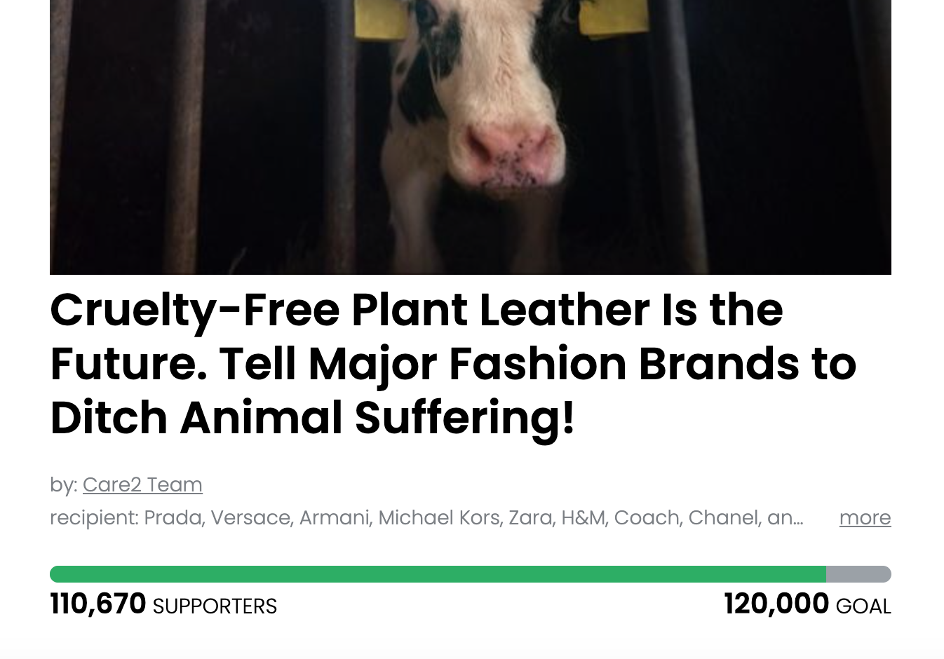 Animal Actions - Cruelty Free Leather is the Future