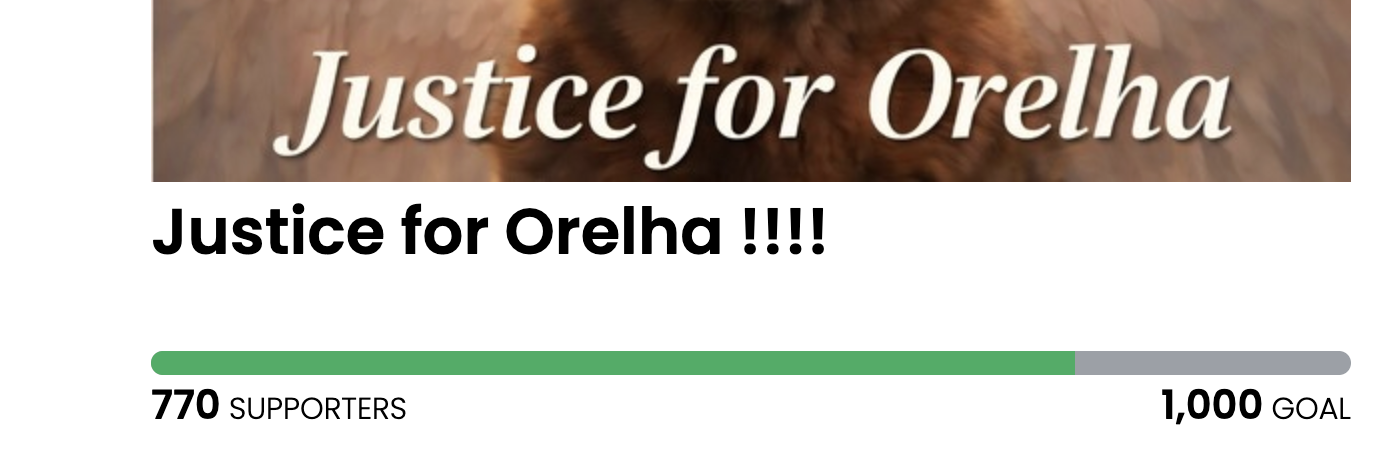 Animal Actions - Demand Justice for Orelha