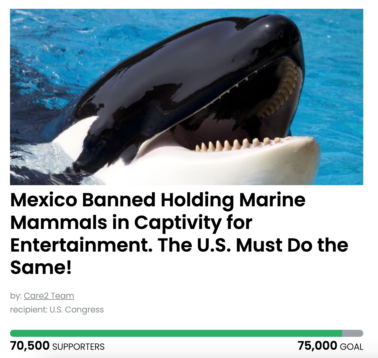 Animal Actions - Give Freedom o