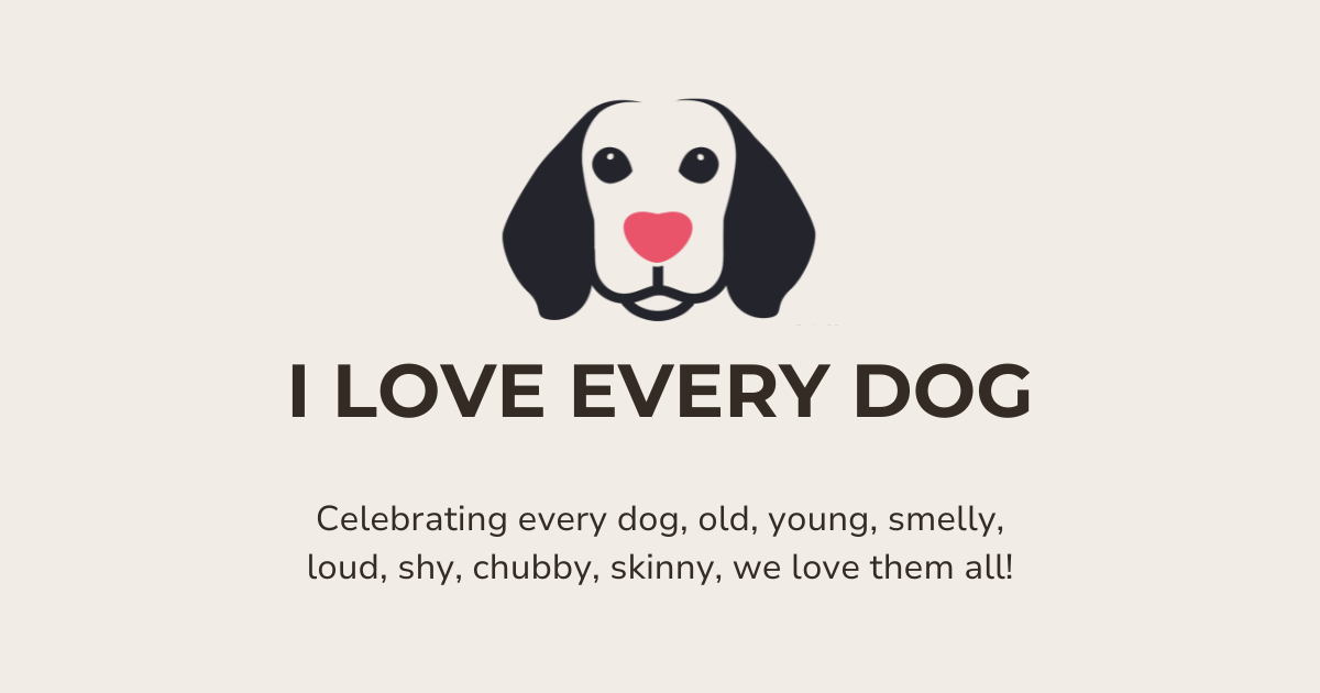 Did you see Zeus, our dog of the week? ❤️ 🐶 ❤️  