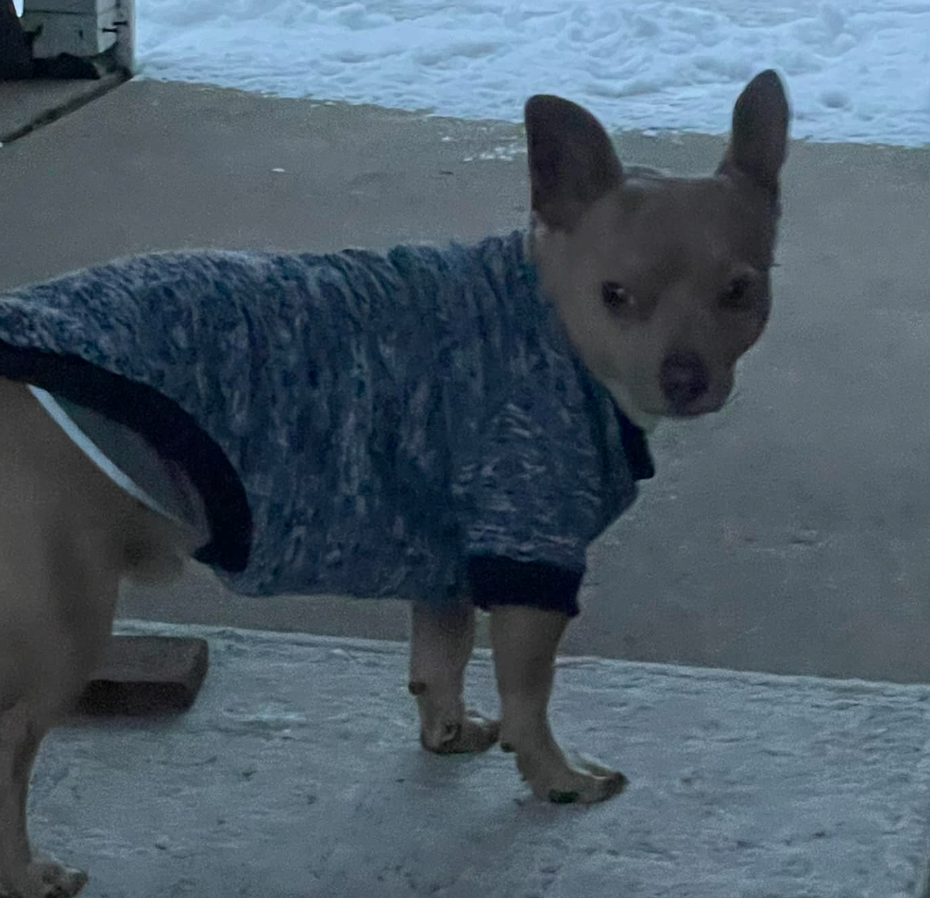 🐶❤️🐶 What is paw balm and how does it work? 🐶❤️🐶 