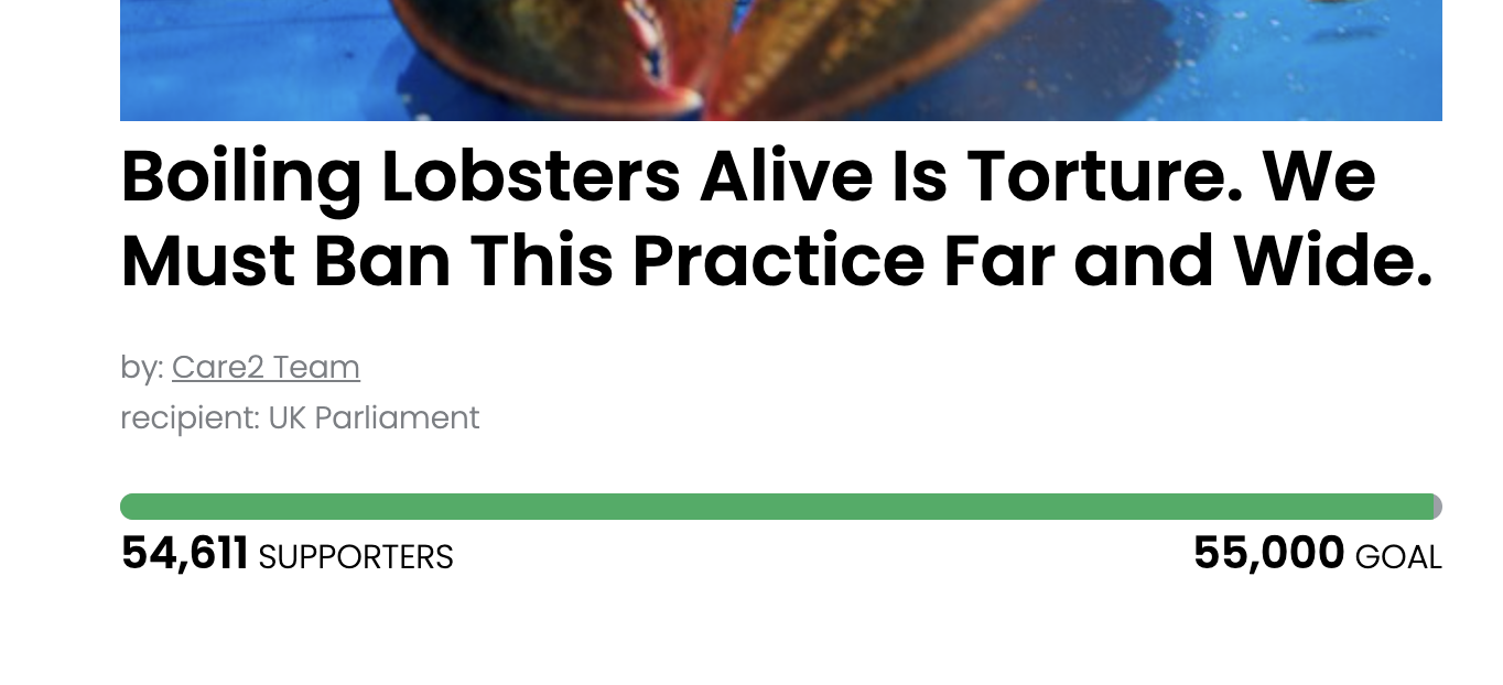 Animal Actions - Demand the end of live lobster boiling!
