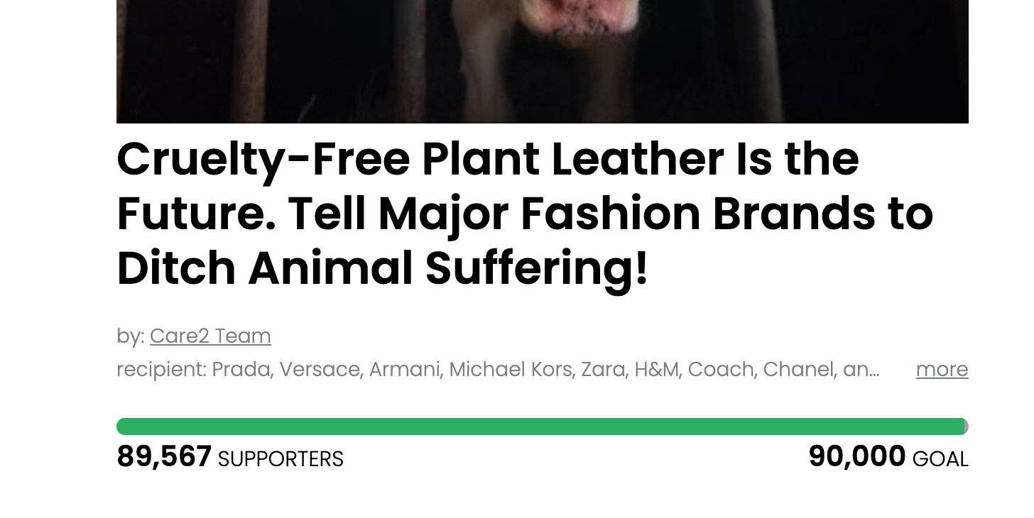 Animal Actions - Tell Companies to Embrace Cruelty Free Leather