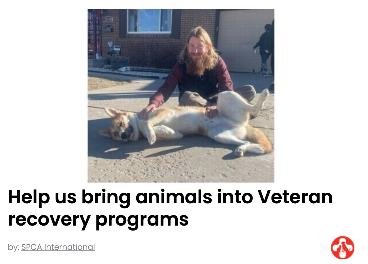 Animal Actions - Let's bring animals to veterans in recovery