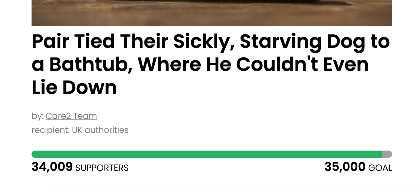 Animal Actions - Let's Fight for JJ!