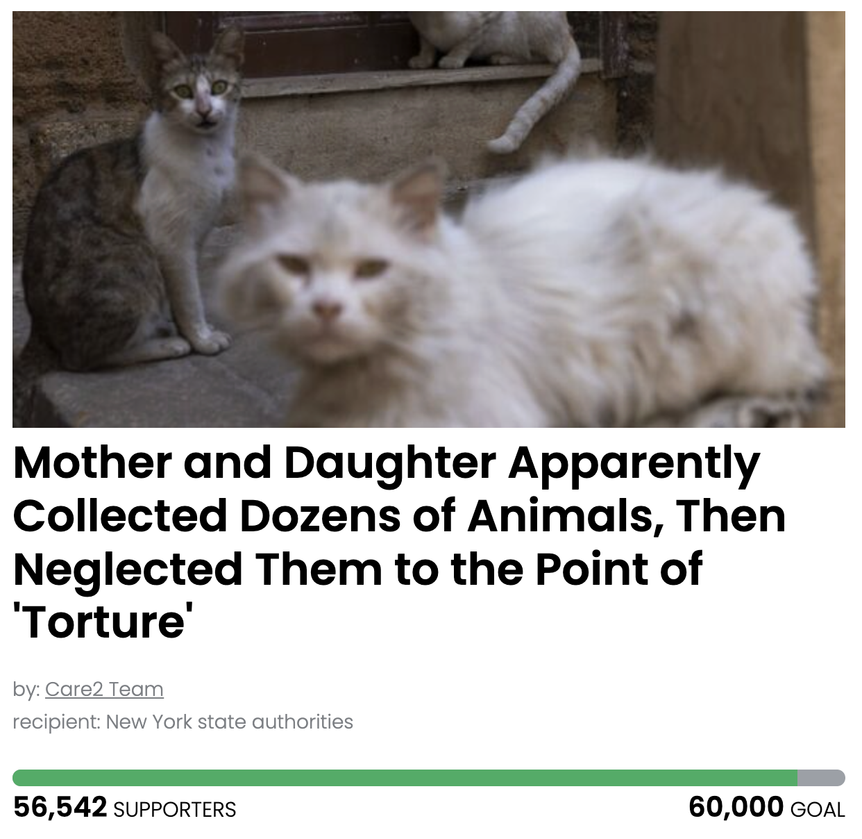 Animal Actions - Mother and Daughter Neglected Animals to the Point of 'Torture'