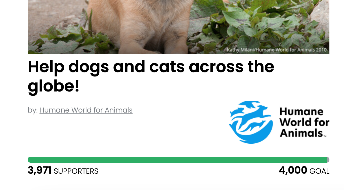 Animal Actions - Help Dogs and Cats Get the Care They Need