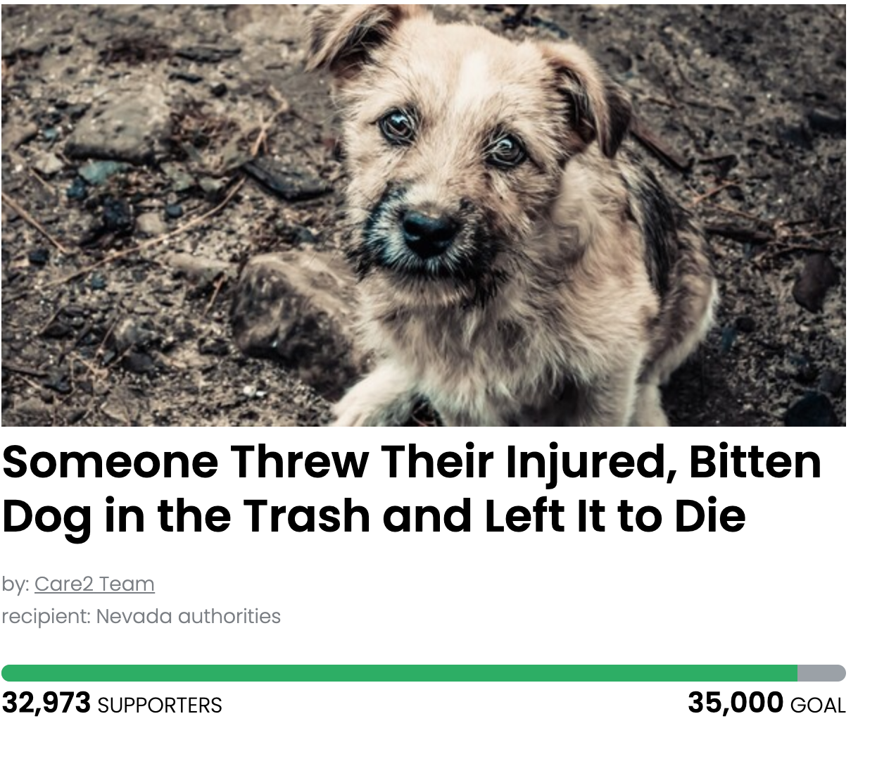 Animal Actions - Get Justice For Baily