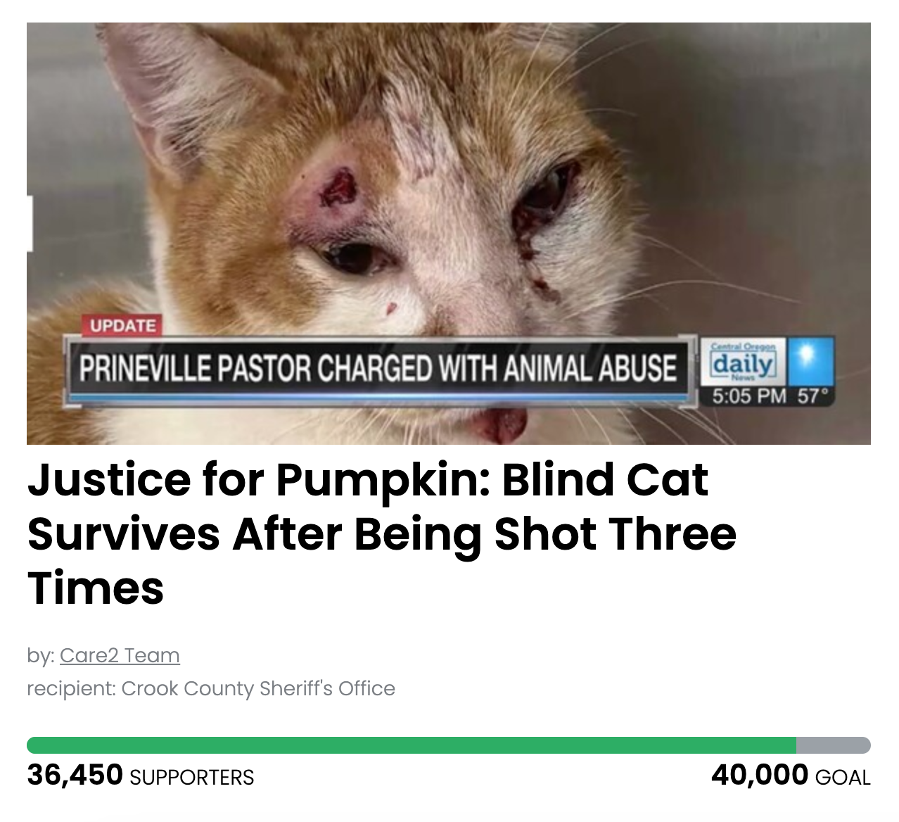 Animal Actions - Justice for Pumpkin the Blind Cat!