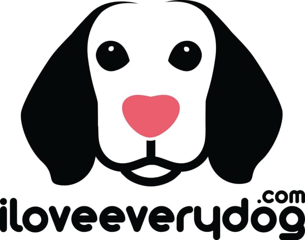 🐶❤️🐶 Why do dogs like mud? 🐶❤️🐶