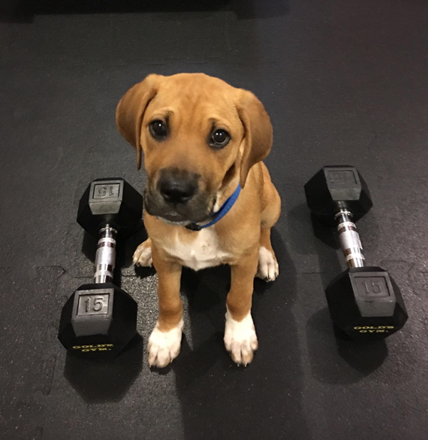 🐶❤️🐶 Why do puppies sleep so much? 🐶❤️🐶