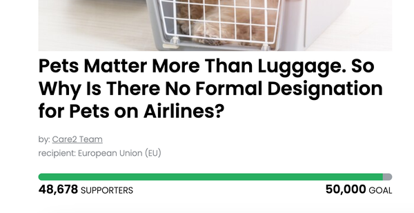 Animal Actions - Pets Aren't Luggage!