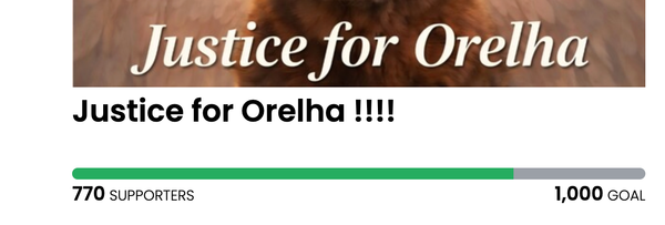Animal Actions - Demand Justice for Orelha
