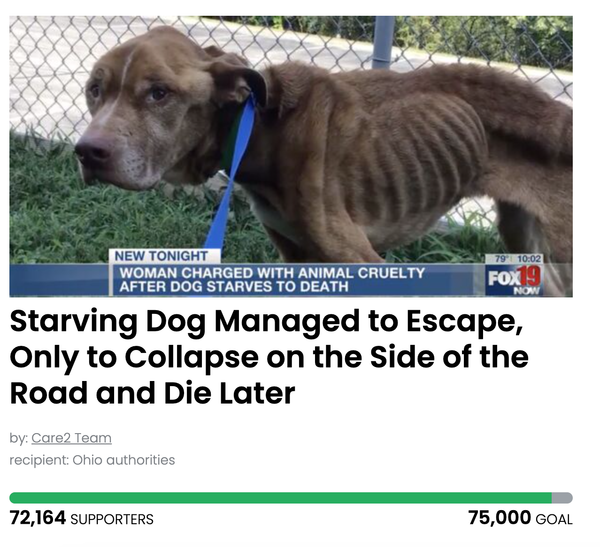 Animal Actions - Justice for Apollo!