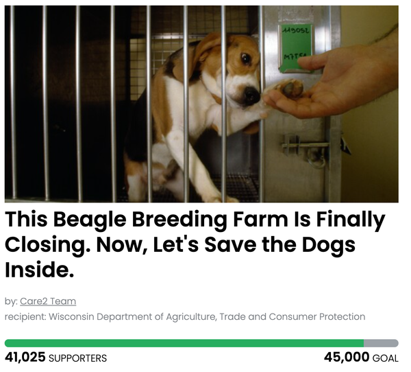 Animal Actions - Let's Save These Beagles!