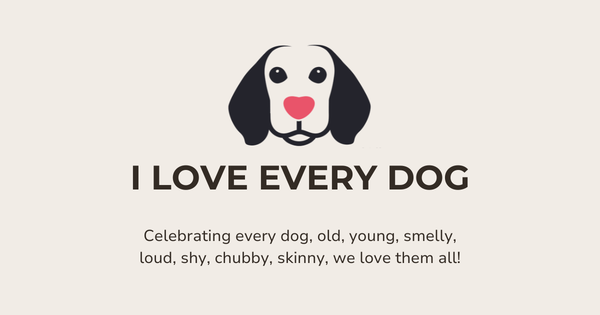 🦈 Can a shark be the dog of the week? 🐶