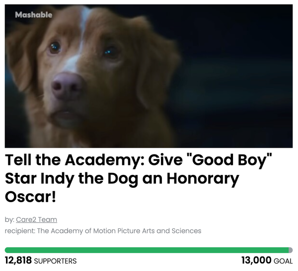 Animal Actions - Let's Get Indy the Dog an Honorary Oscar!