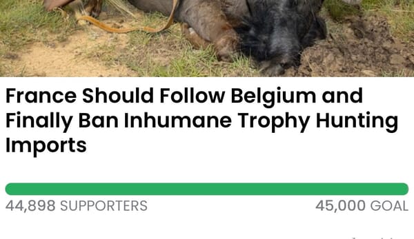 Animal Actions - Tell France to ban inhumane hunting trophies