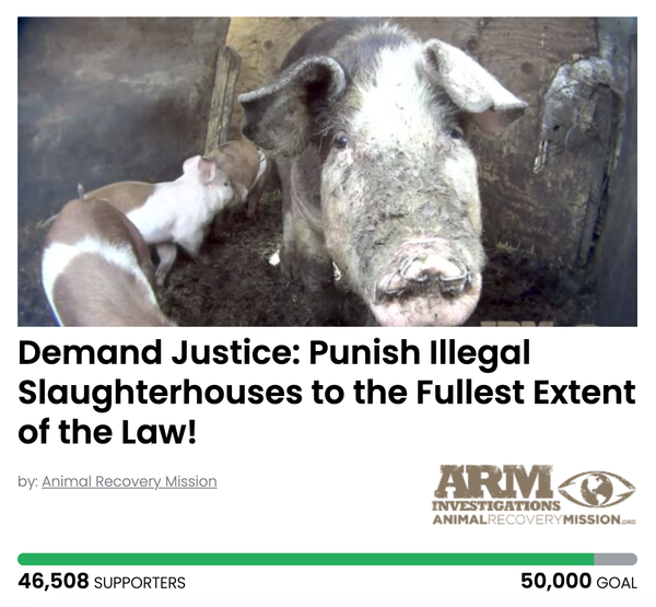 Animal Actions - Prosecute Illegal Slaughterhouses