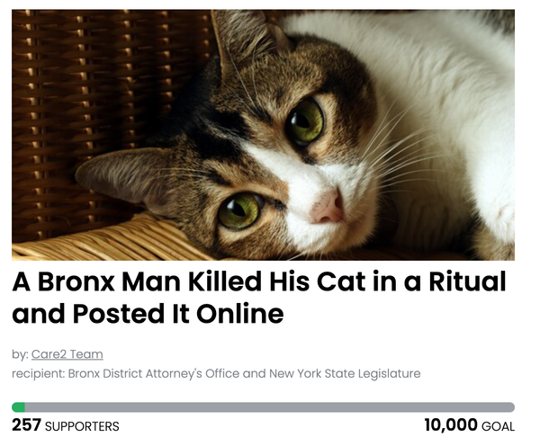 Animal Actions - Demand Justice For An Innocent Cat