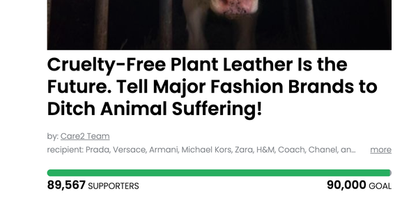 Animal Actions - Tell Companies to Embrace Cruelty Free Leather
