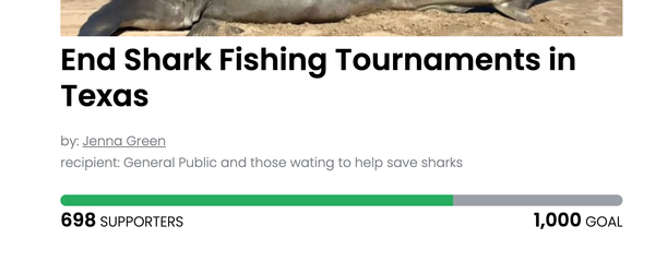 Animal Actions - Demand the end of Shark Fishing Tournaments in Texas