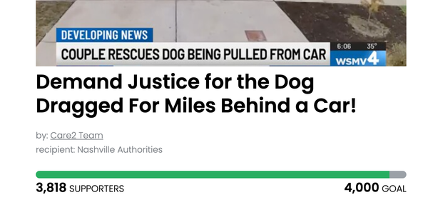 Animal Actions - Get Justice For Pup Pulled Behind Car