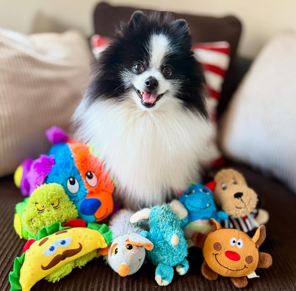 🐶❤️🐶 How to prevent dogs from choking 🐶❤️🐶