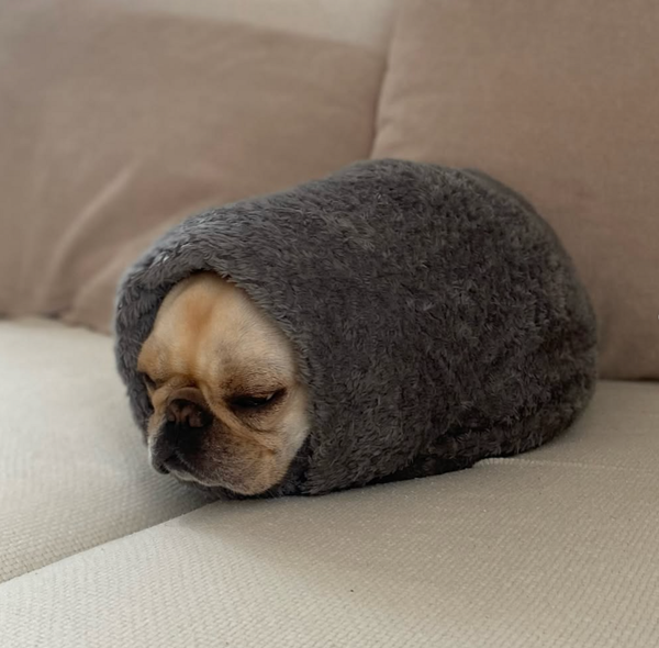 🐶❤️🐶 This might be the snuggest nugget ever! 🐶❤️🐶 