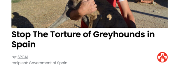 Animal Actions - Protect Spanish Greyhounds