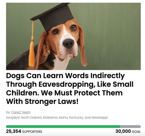 Animal Actions - Push states to get stronger animal welfare laws