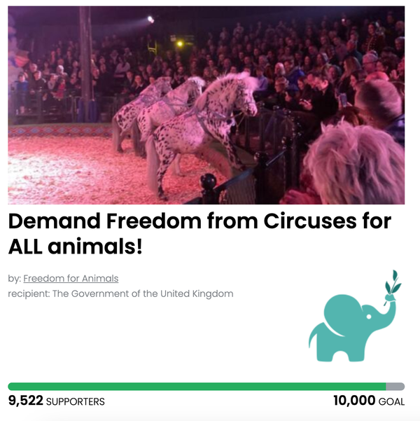 Animal Actions - Save ALL Circus Animals From Cruel Conditions